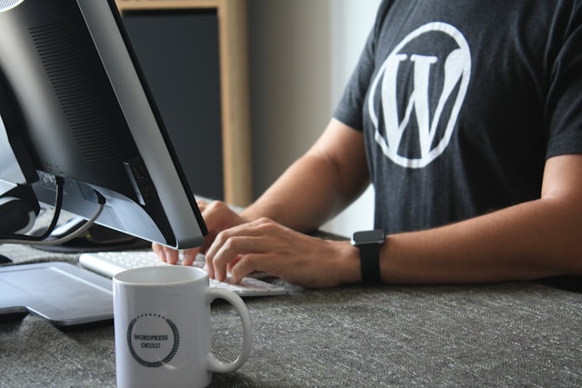 Professional WordPress Development